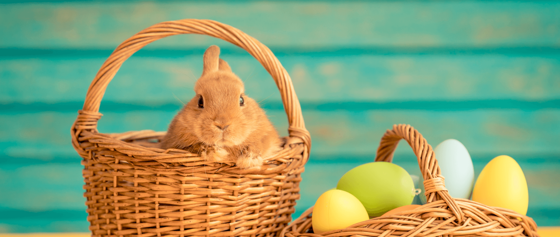 Happy Easter Run 2023