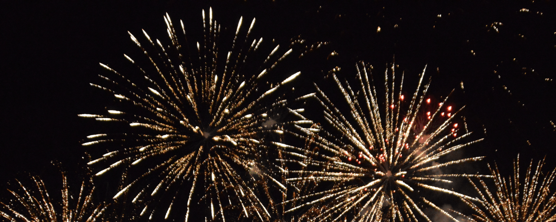 Happy New Year Run  2022